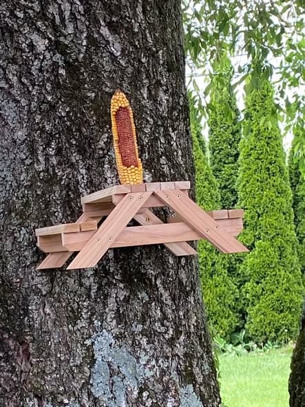 Squirrel feeder